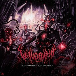 Vulvodynia: albums, songs, playlists | Listen on Deezer