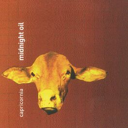 Album cover of Capricornia