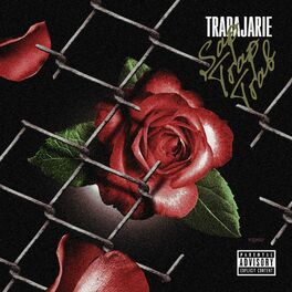 Album cover of Sap Trap Trab