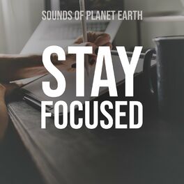Album cover of Stay Focused