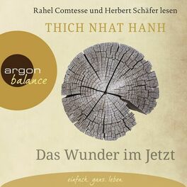 Album cover of Das Wunder im Jetzt (Ungekürzte Lesung mit Musik)