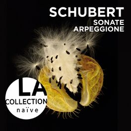 Album cover of Schubert: Sonate Arpeggione