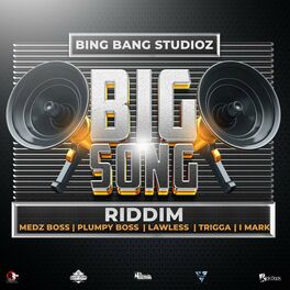 Album cover of Big Song Riddim