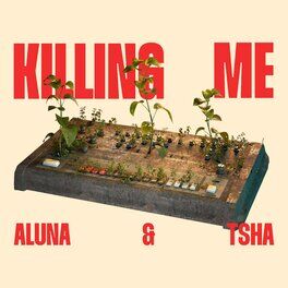 Album cover of Killing Me