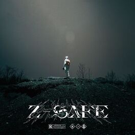 Album cover of Z-SAFE