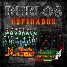 Album cover of DUELOS ESPERADOS