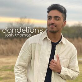 Album cover of dandelions (full rewrite)