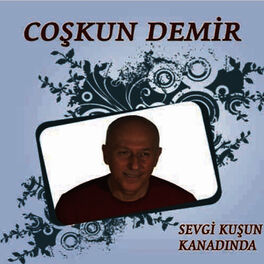 Album cover of Sevgi Kuşun Kanadında