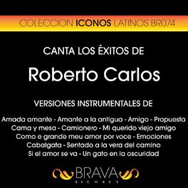 Album cover of Canta los Exitos de Roberto Carlos