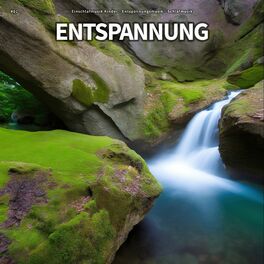 Album cover of #01 Entspannung