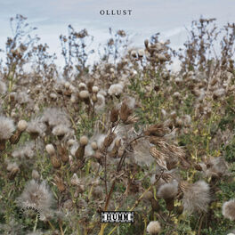 Album cover of Ollust