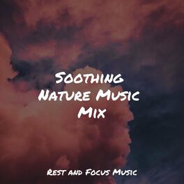 Album cover of Soothing Nature Music Mix