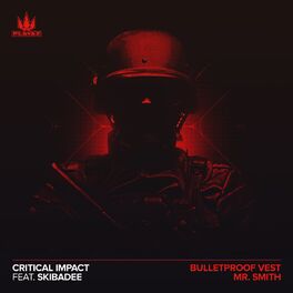 Album cover of Bulletproof Vest / Mr Smith
