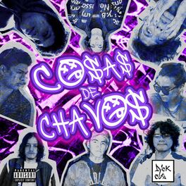 Album cover of COSAS DE CHAVOS