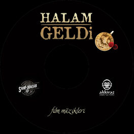 Album cover of Halam Geldi