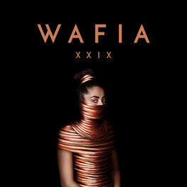 Album cover of XXIX