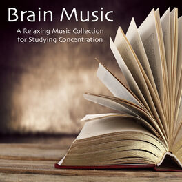 Album cover of Brain Music: A Relaxing Music Collection for Studying Concentration