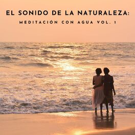 Album cover of El Sonido De La Naturaleza: Meditación Con Agua Vol. 1