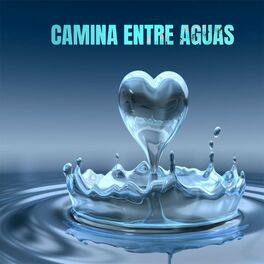 Album cover of Camina entre aguas