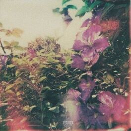 Album cover of stop and smell the flowers sometime
