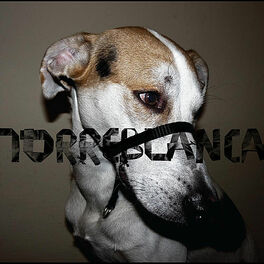 Album cover of Defensa