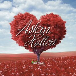 Album cover of Aşkın Halleri