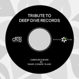 Album cover of Tribute to Deep Dive Records