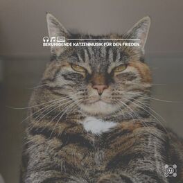 Album cover of Beruhigende Katzenmusik für den Frieden