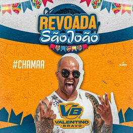Album cover of Revoada São João