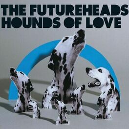 Album cover of Hounds of Love (Digital 4-tr)