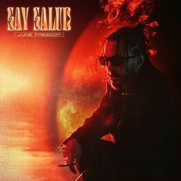 Album cover of Say Salud