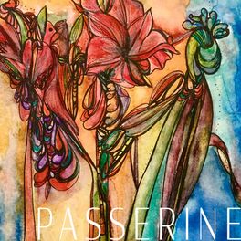 Album cover of Passerine