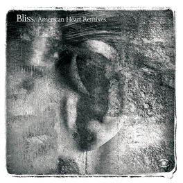 Album cover of American Heart Remixes