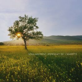 Album cover of Soulagement immédiat de l'anxiété: Musique de la nature pour un sommeil profond, Temps calme la nuit