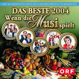 Album cover of Wenn die Musi spielt - DAS BESTE 2004