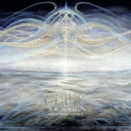 Album cover of Ascension Codes