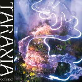 Album cover of Taraxia