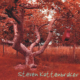 Album cover of Steven Kattenbraker