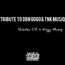 Album cover of Tribute To DBNGOGO & TNK MusiQ (feat. Kingg Musiq)