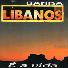 Album cover of É a Vida