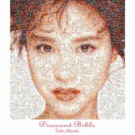 Album cover of Diamond Bible