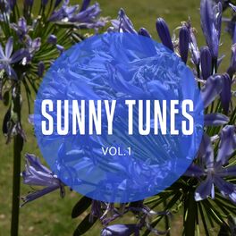 Album cover of Sunny Tunes, Vol. 1 (Sunny Chill, Relax & Dance Beats)