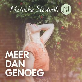 Album cover of Meer dan genoeg