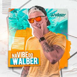 Album cover of Na Vibe do Walber
