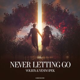 Album cover of Never Letting Go
