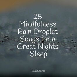 Album cover of 25 Mindfulness Rain Droplet Songs for a Great Nights Sleep