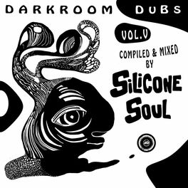 Album cover of Darkroom Dubs Vol. V - Compiled & Mixed By Silicone Soul