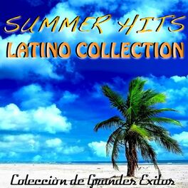 Album cover of Summer Hits Latino