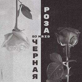 Album cover of Chjornaja roza