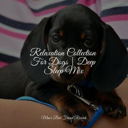 Album cover of Relaxation Collection For Dogs | Deep Sleep Mix